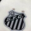 Imagem de variação para Santos G