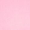 Imagem de variação para Rosa bebe