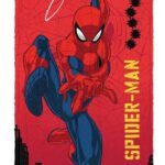 Toalha De Banho Infantil Aveludada Piscina Praia Personagens