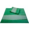 Imagem de variação para Verde Bandeira