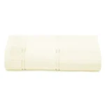 Toalha Banhão para Bordar Bella Velour 90 x 150 cm - Dohler - Imagem 4