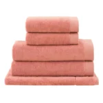 Toalha Banhão Gigante  Linha Dual Air 90X150cm Buddemeyer - Imagem 4